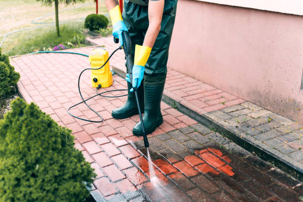 Best Soft Washing for Delicate Surfaces in Breinigsville, PA